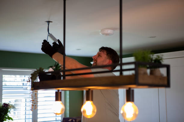 Best Electric Panel Repair  in Ridge Wood Heights, FL
